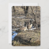 Wild Geese シーズンカード (正面)