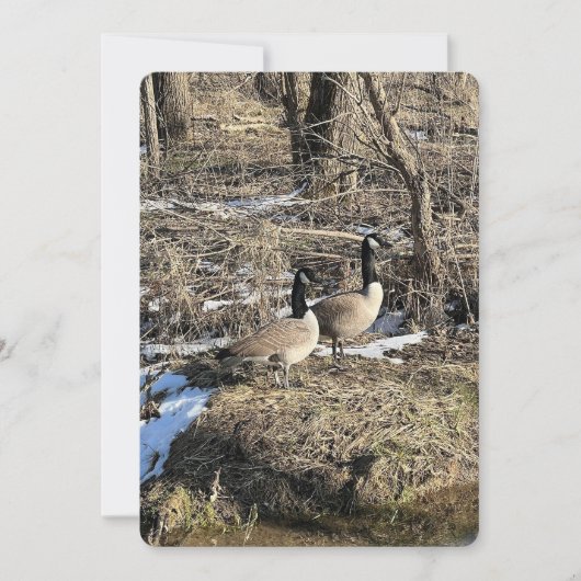 Wild Geese シーズンカード (正面)