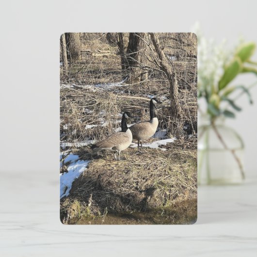 Wild Geese シーズンカード (スタンド正面)