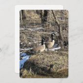 Wild Geese シーズンカード (正面/裏面)