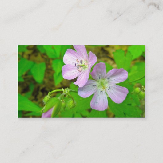 Wild Geranium Series Matching Items名刺 名刺 (裏面)