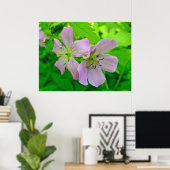 Wild Geranium Series Matching Items Poster ポスター (ホームオフィス)