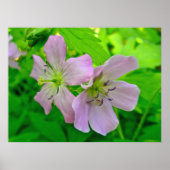 Wild Geranium Series Matching Items Poster ポスター (正面)