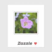 Wild Geranium Whisper — Nature Sticker シール (シート)