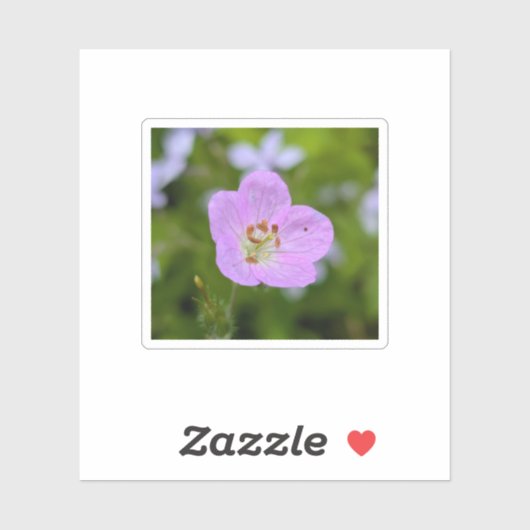 Wild Geranium Whisper — Nature Sticker シール (シート)