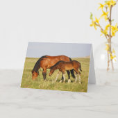 Wild Horse Mother and Colt Grazing カード (黄色い花)