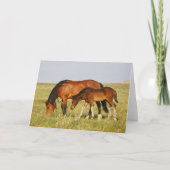 Wild Horse Mother and Colt Grazing カード (正面)