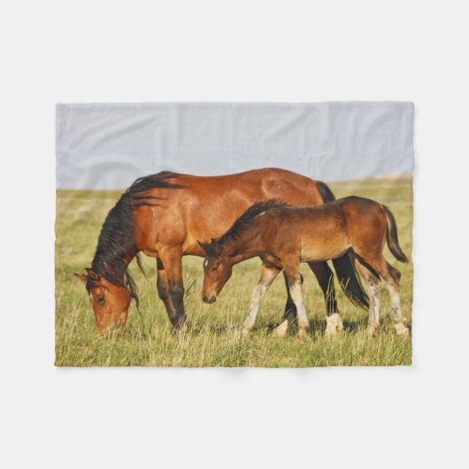 Wild Horse Mother and Colt Grazing フリースブランケット (正面(横))
