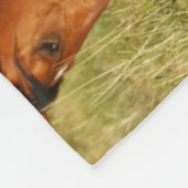 Wild Horse Mother and Colt Grazing フリースブランケット (角)