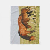 Wild Horse Mother and Colt Grazing フリースブランケット (正面)
