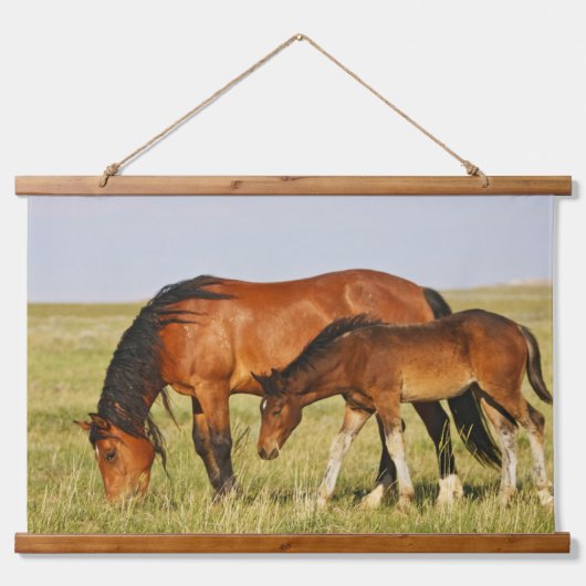 Wild Horse Mother and Colt Grazing 吊り下げ型タペストリー (正面)