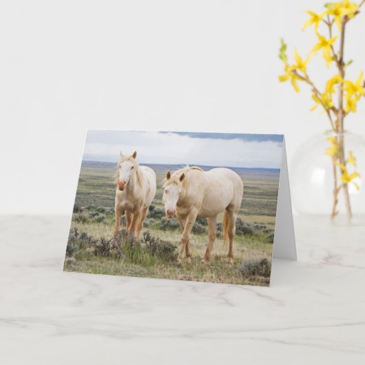 Wild Horse Roaming on the Priaire of Cody カード (黄色い花)