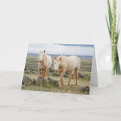 Wild Horse Roaming on the Priaire of Cody カード (正面)
