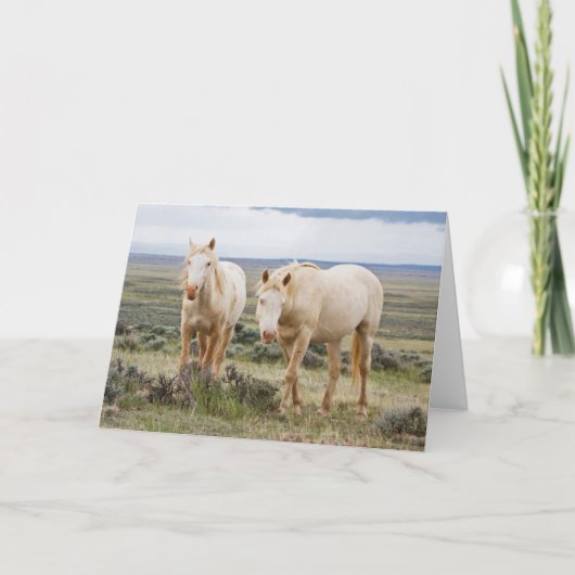 Wild Horse Roaming on the Priaire of Cody カード (正面)