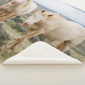 Wild Horse Roaming on the Priaire of Cody シェルパブランケット (3/4)