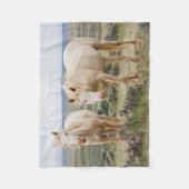 Wild Horse Roaming on the Priaire of Cody フリースブランケット (正面)