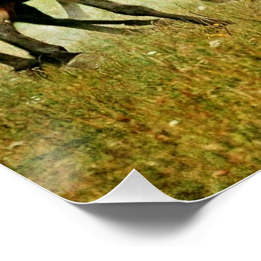 Wild Horses ポスター (コーナー)