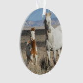 Wild Horses at Home in the Sandwash Basin オーナメント (正面)