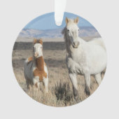 Wild Horses at Home in the Sandwash Basin オーナメント (正面)