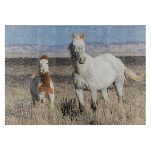 Wild Horses at Home in the Sandwash Basin カッティングボード (正面)