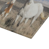Wild Horses at Home in the Sandwash Basin カッティングボード (角)