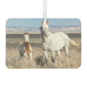 Wild Horses at Home in the Sandwash Basin カーエアーフレッシュナー (裏面)