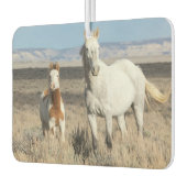 Wild Horses at Home in the Sandwash Basin カーエアーフレッシュナー (左)