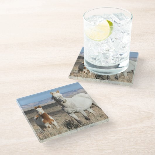 Wild Horses at Home in the Sandwash Basin ガラスコースター (アングル)