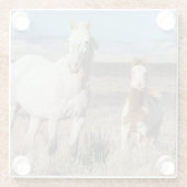 Wild Horses at Home in the Sandwash Basin ガラスコースター (裏面)