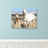 Wild Horses at Home in the Sandwash Basin キャンバスプリント (インサイチュ (ウッドフロア))