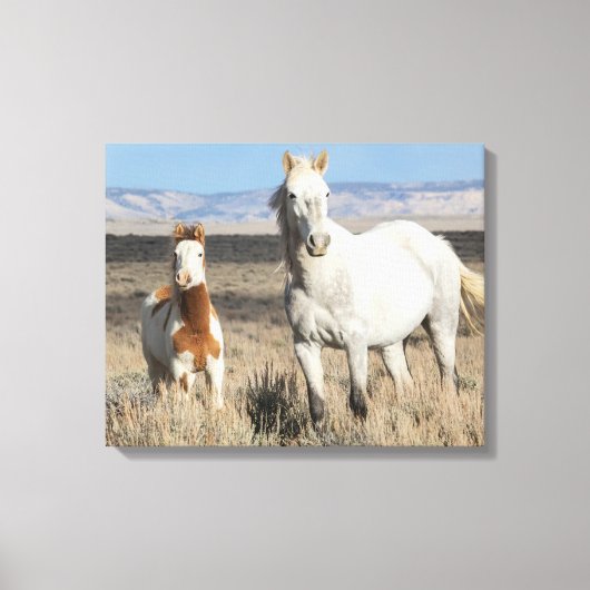 Wild Horses at Home in the Sandwash Basin キャンバスプリント (正面)