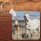 Wild Horses at Home in the Sandwash Basin キーホルダー (正面)