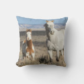 Wild Horses at Home in the Sandwash Basin クッション (正面)