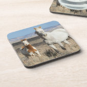 Wild Horses at Home in the Sandwash Basin コースター (左側)