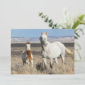 Wild Horses at Home in the Sandwash Basin サンキューカード (スタンド正面)
