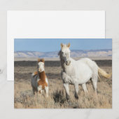 Wild Horses at Home in the Sandwash Basin サンキューカード (正面/裏面)