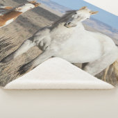 Wild Horses at Home in the Sandwash Basin シェルパブランケット (3/4)