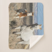 Wild Horses at Home in the Sandwash Basin シェルパブランケット (正面)