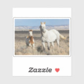 Wild Horses at Home in the Sandwash Basin シール (シート)