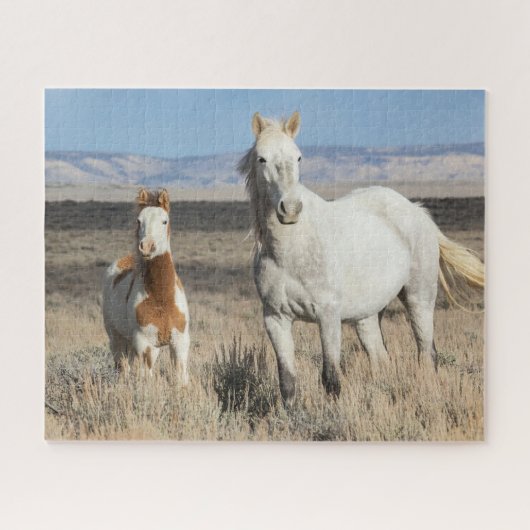 Wild Horses at Home in the Sandwash Basin ジグソーパズル (横)