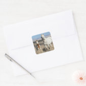 Wild Horses at Home in the Sandwash Basin スクエアシール (封筒)