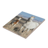 Wild Horses at Home in the Sandwash Basin タイル (側面)