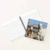 Wild Horses at Home in the Sandwash Basin ノートブック (内部)