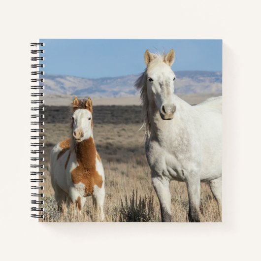 Wild Horses at Home in the Sandwash Basin ノートブック (正面)