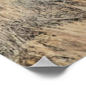 Wild Horses at Home in the Sandwash Basin ポスター (角)