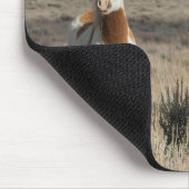 Wild Horses at Home in the Sandwash Basin マウスパッド (コーナー)