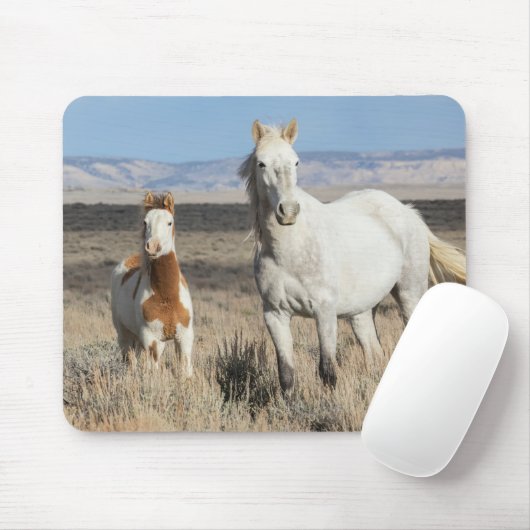 Wild Horses at Home in the Sandwash Basin マウスパッド (マウス)