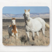 Wild Horses at Home in the Sandwash Basin マウスパッド (正面)