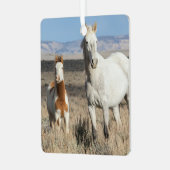 Wild Horses at Home in the Sandwash Basin メタルオーナメント (正面左)