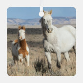 Wild Horses at Home in the Sandwash Basin メタルオーナメント (正面)